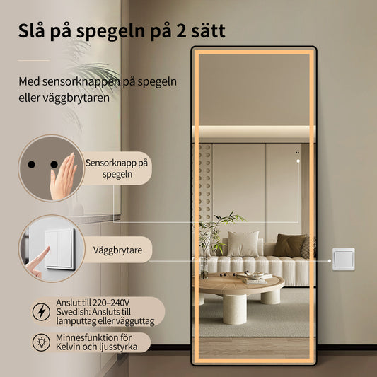 Helkroppsspegel med LED-ljus 65x165 cm för både golv och vägg