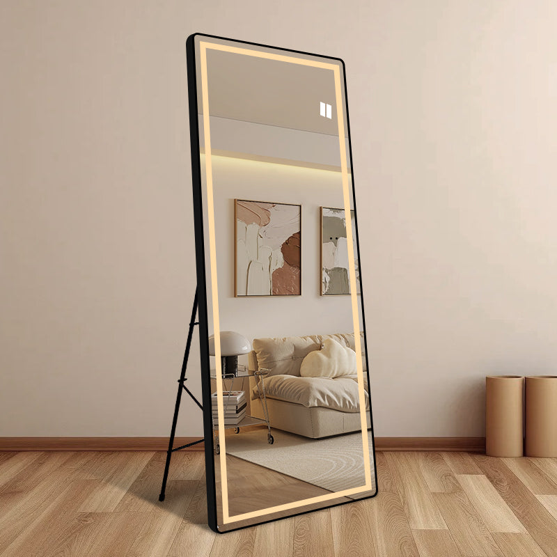 Helkroppsspegel med LED-ljus 65x165 cm för både golv och vägg