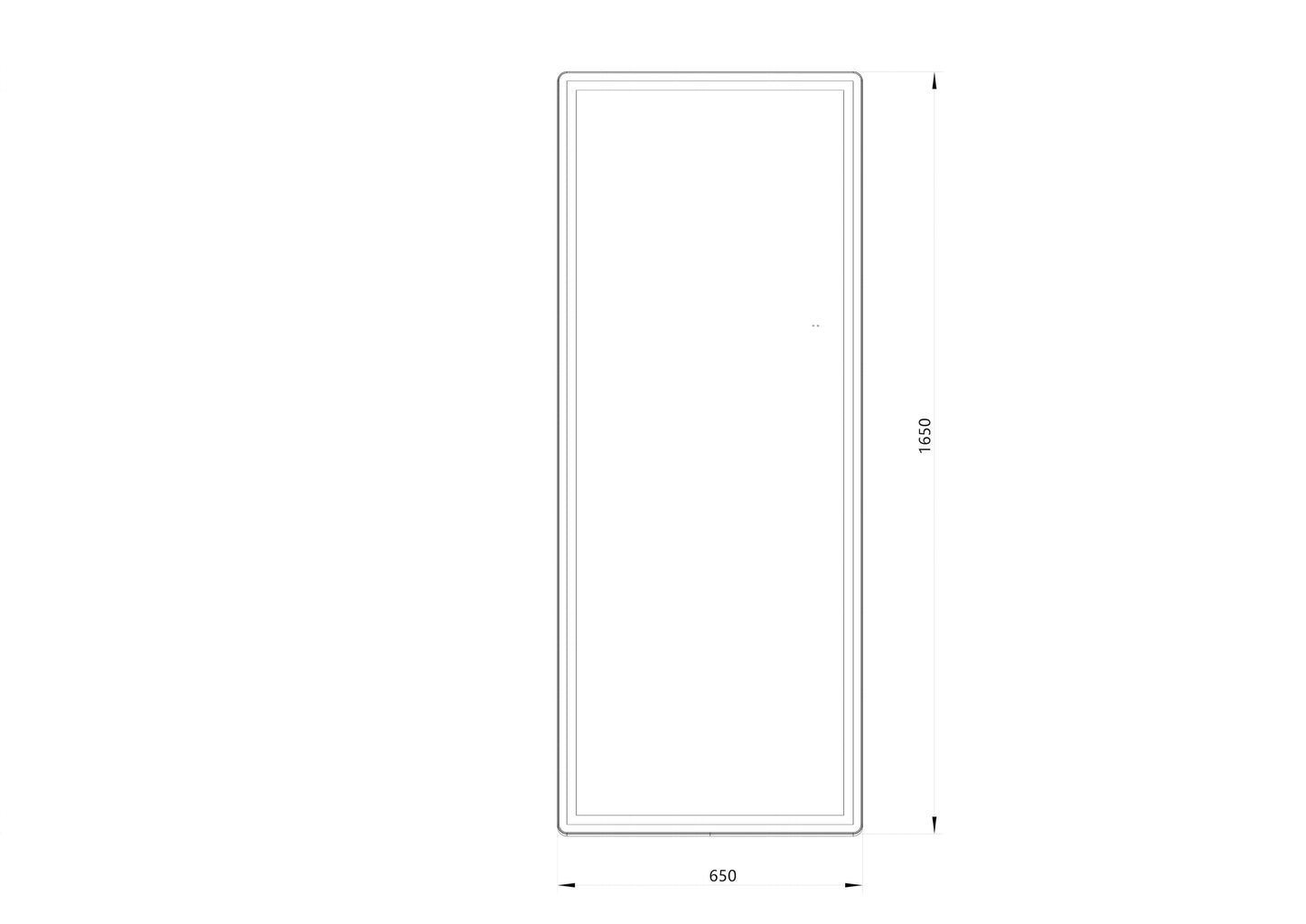 Helkroppsspegel med LED-ljus 65x165 cm för både golv och vägg