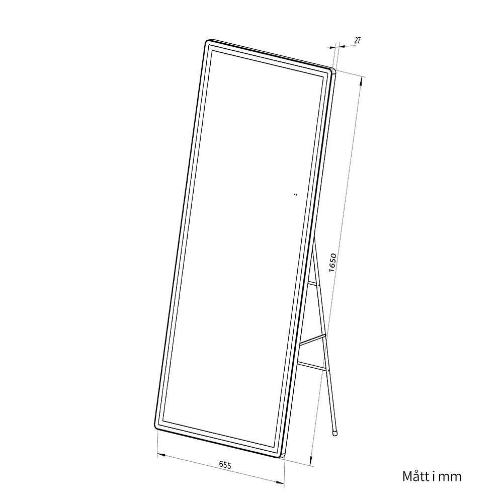 Helkroppsspegel med LED-ljus 65x165 cm för både golv och vägg