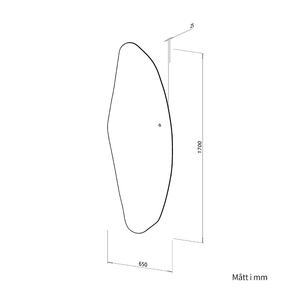 Asymmetrisk helkroppsspegel med LED-ljus för vägg 65x170 cm