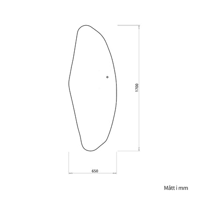 Asymmetrisk helkroppsspegel med LED-ljus för vägg 65x170 cm